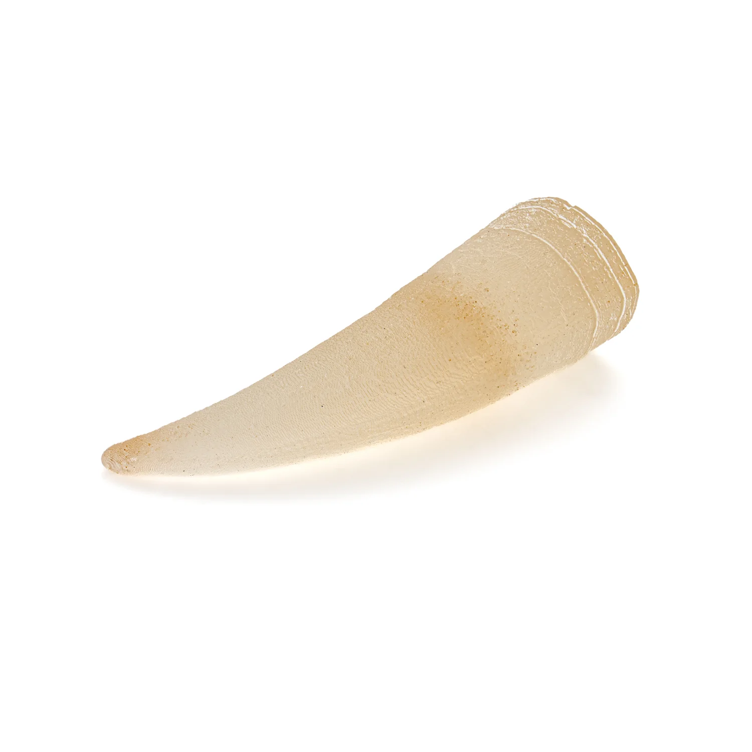 Tyrant King Pocket Fossil: 3D Printed Tyrannosaurus Rex Tooth Made with Real Fossil Material - Image 3