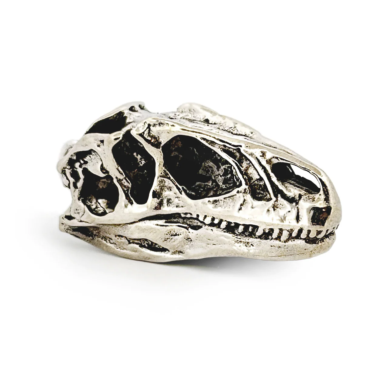 Allosaurus Skull Pendant