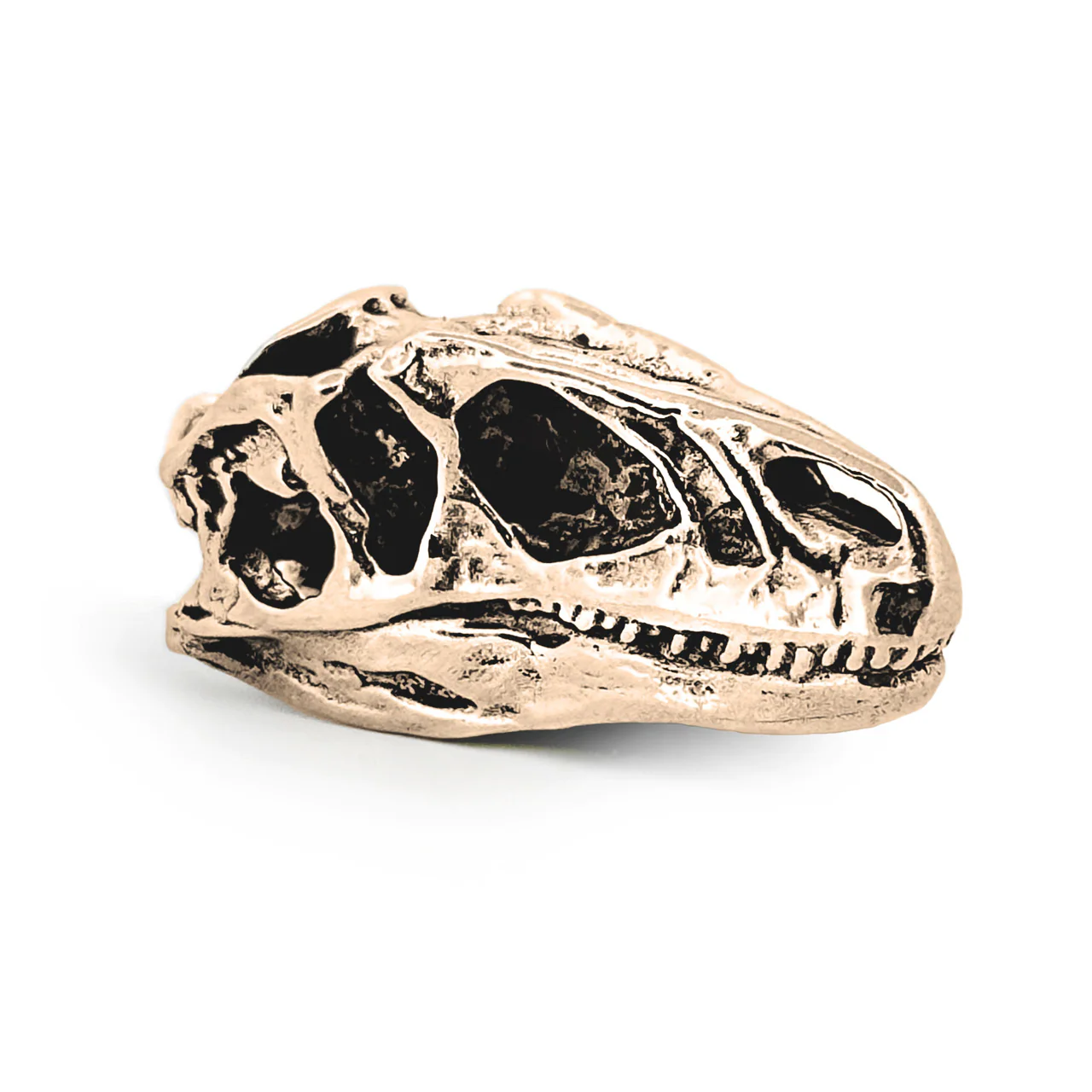 Allosaurus Skull Pendant - Image 2