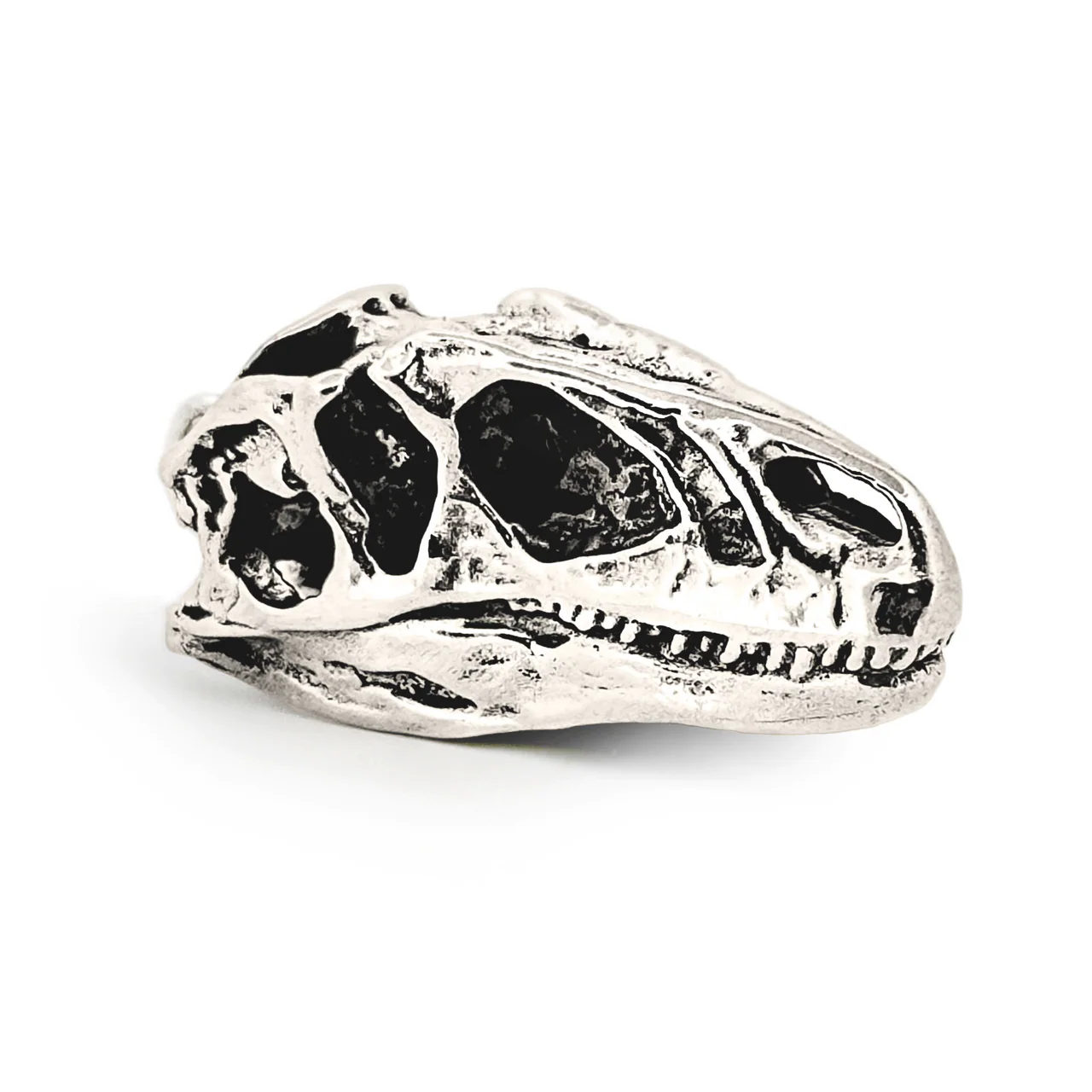 Allosaurus Skull Pendant - Image 3
