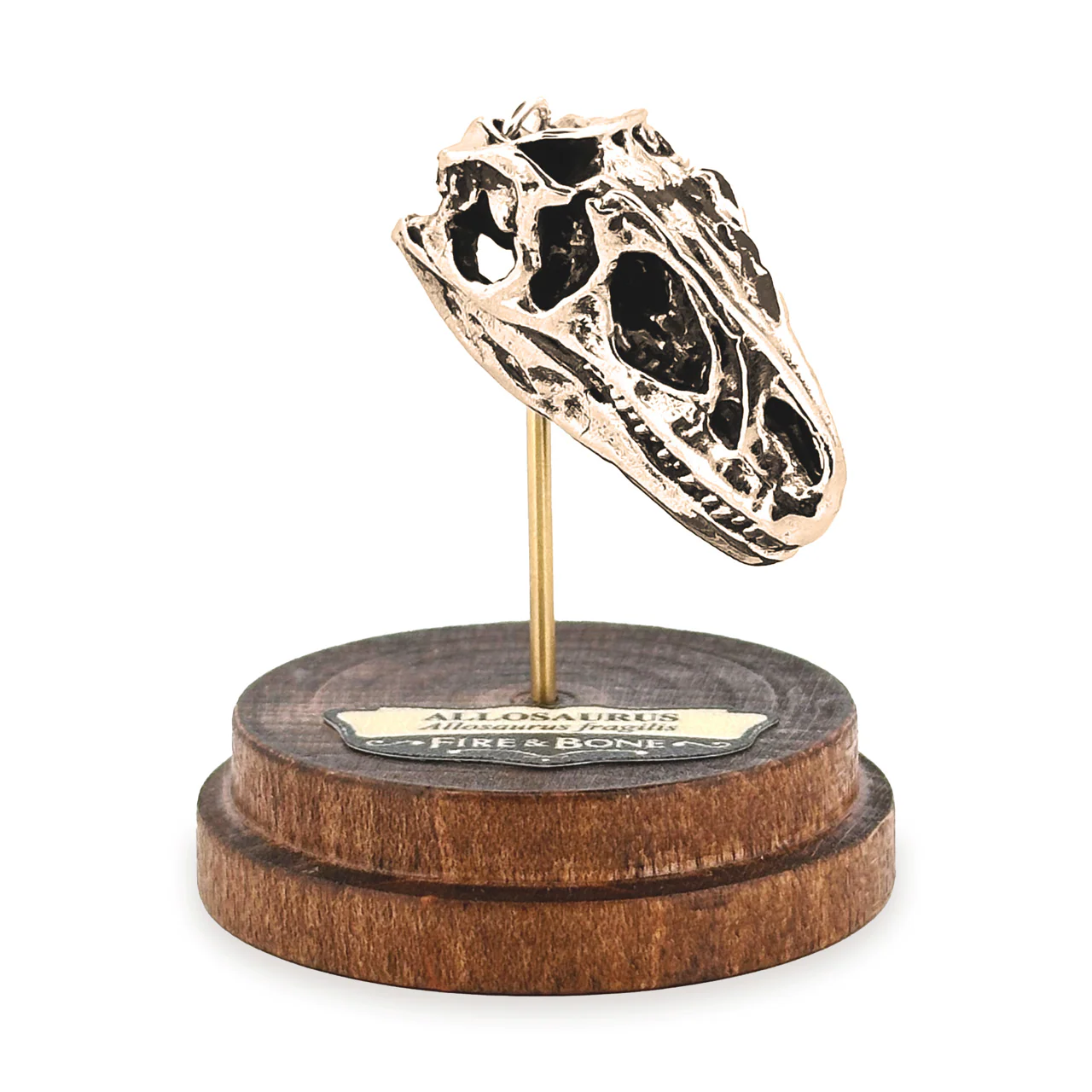 Allosaurus Skull Pendant - Image 5