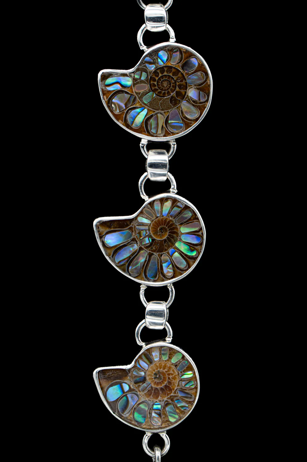 Ammonite & Abalone Bracelet - Image 5
