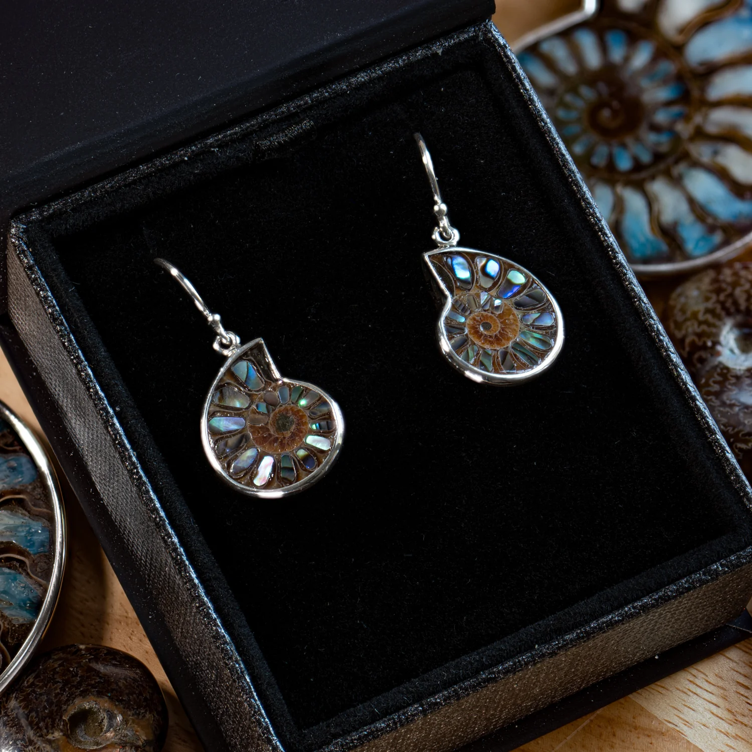 Ammonite & Abalone Earrings - Image 5