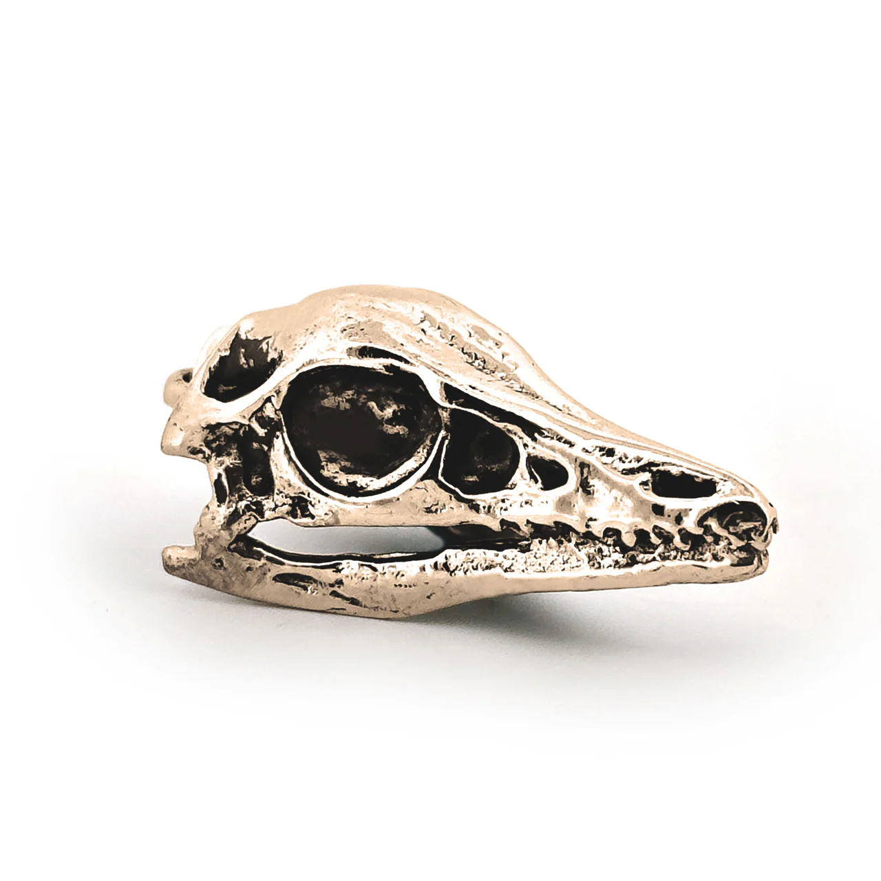 Archaeopteryx Skull Pendant - Image 2