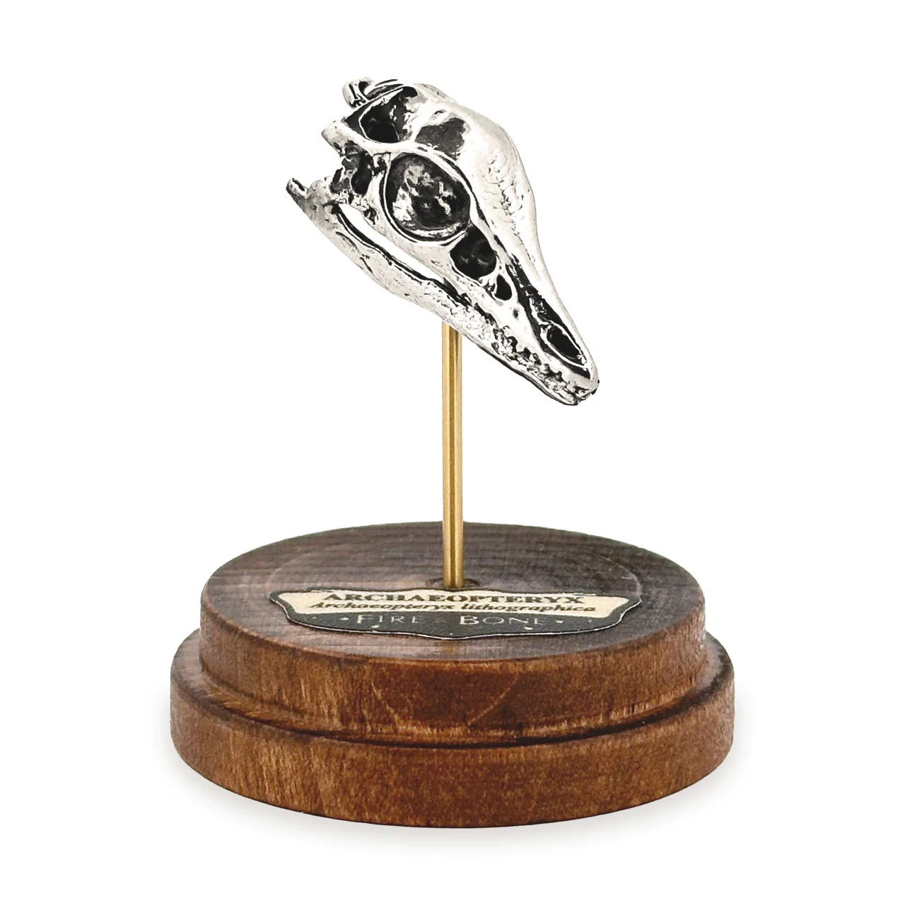 Archaeopteryx Skull Pendant - Image 6