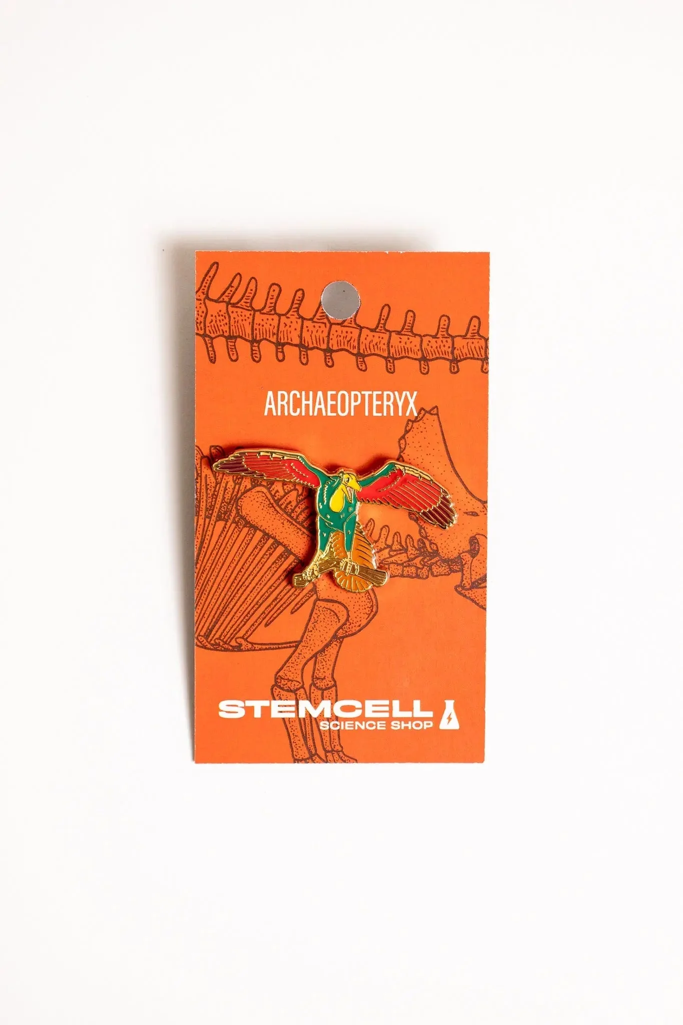 Archaeopteryx Pin - Image 3