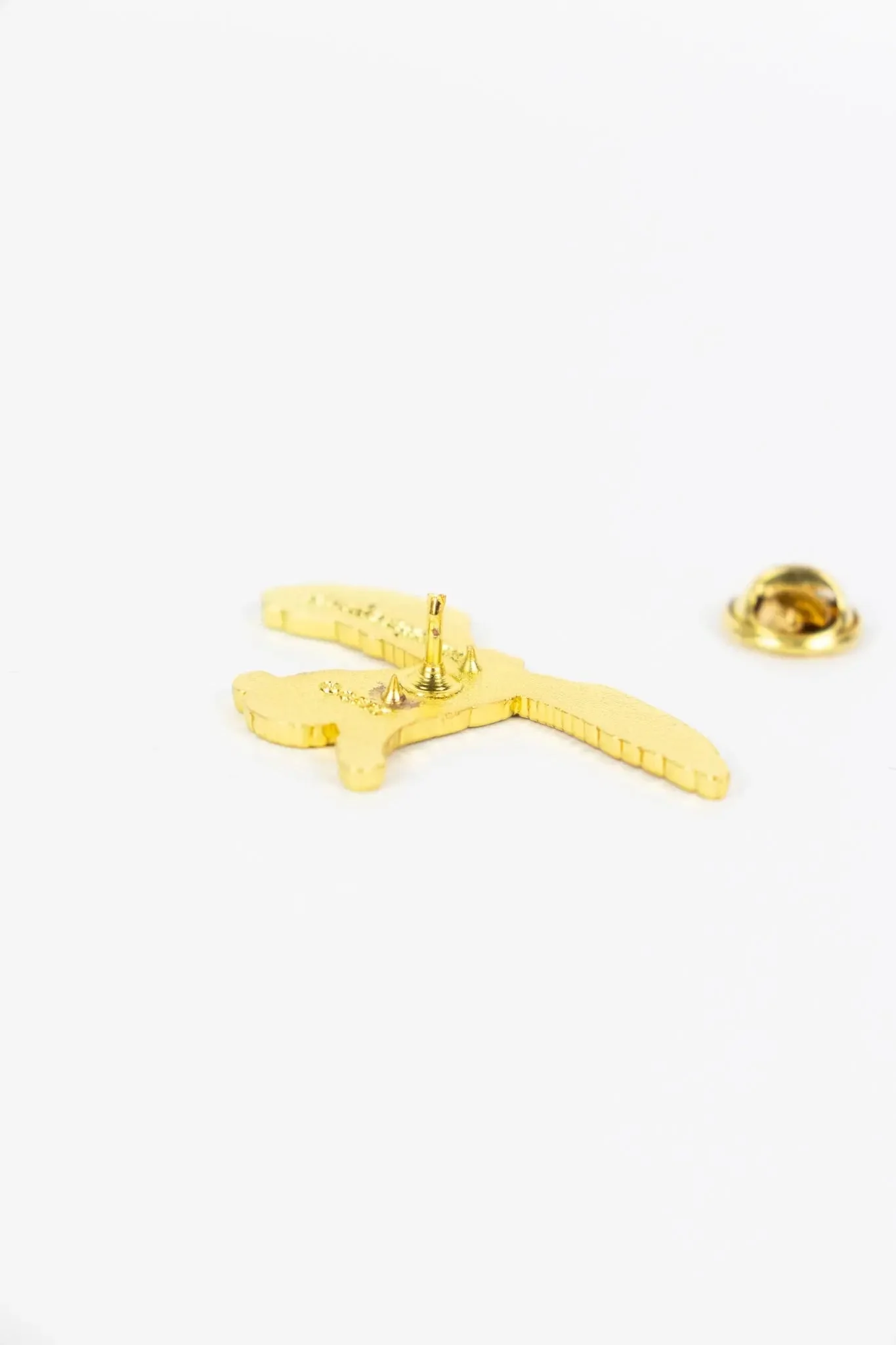 Archaeopteryx Pin - Image 6