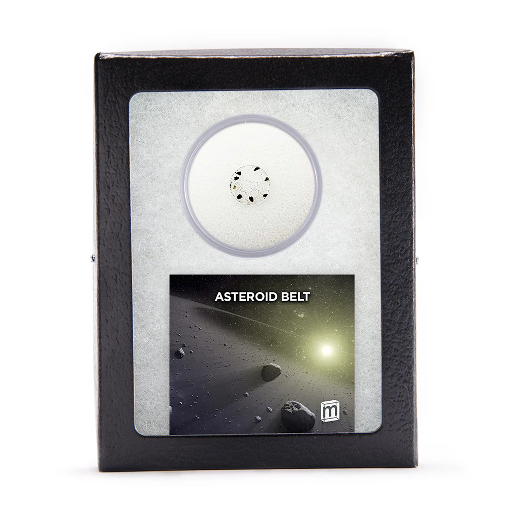 Asteroid Belt HED Meteorite Fragments - Classic Riker Box Specimens - Image 2