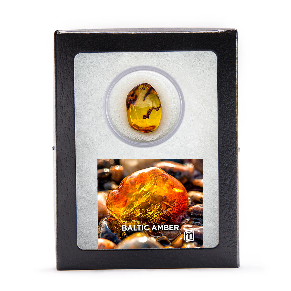 Baltic Amber