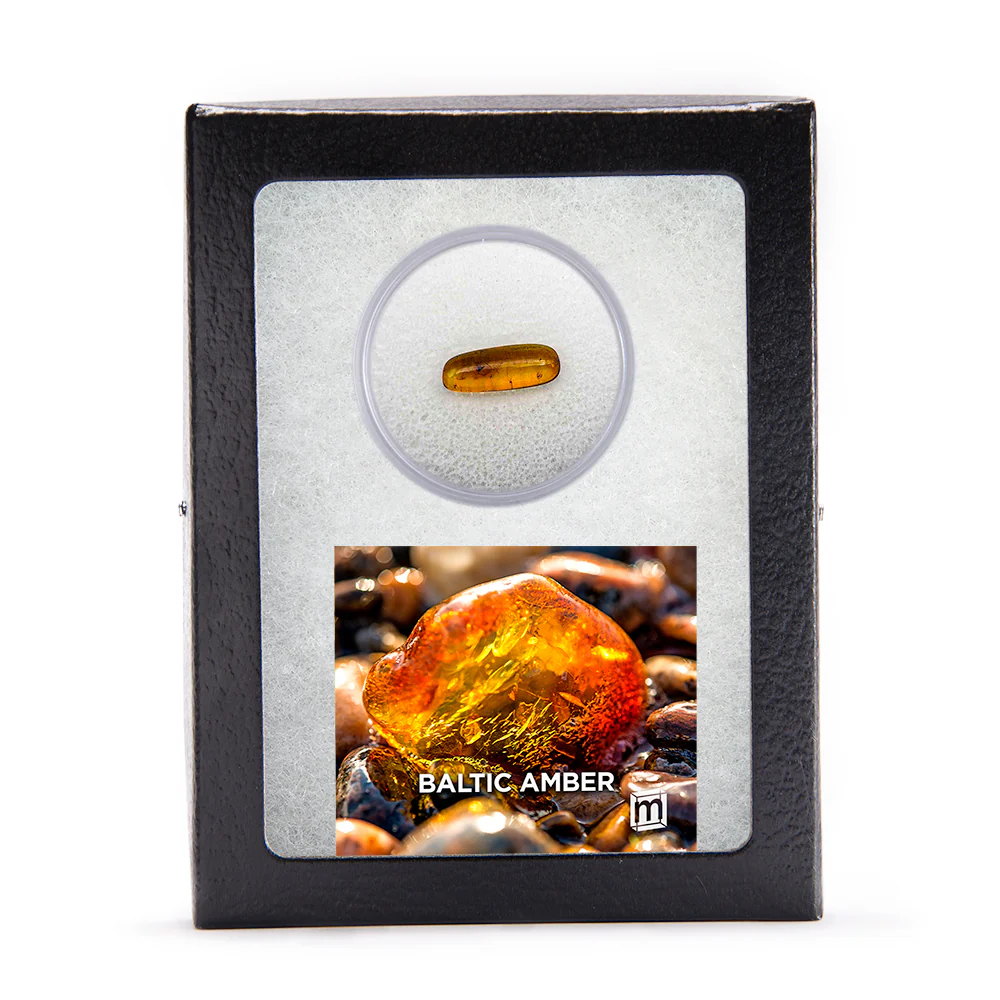 Baltic Amber - Image 10