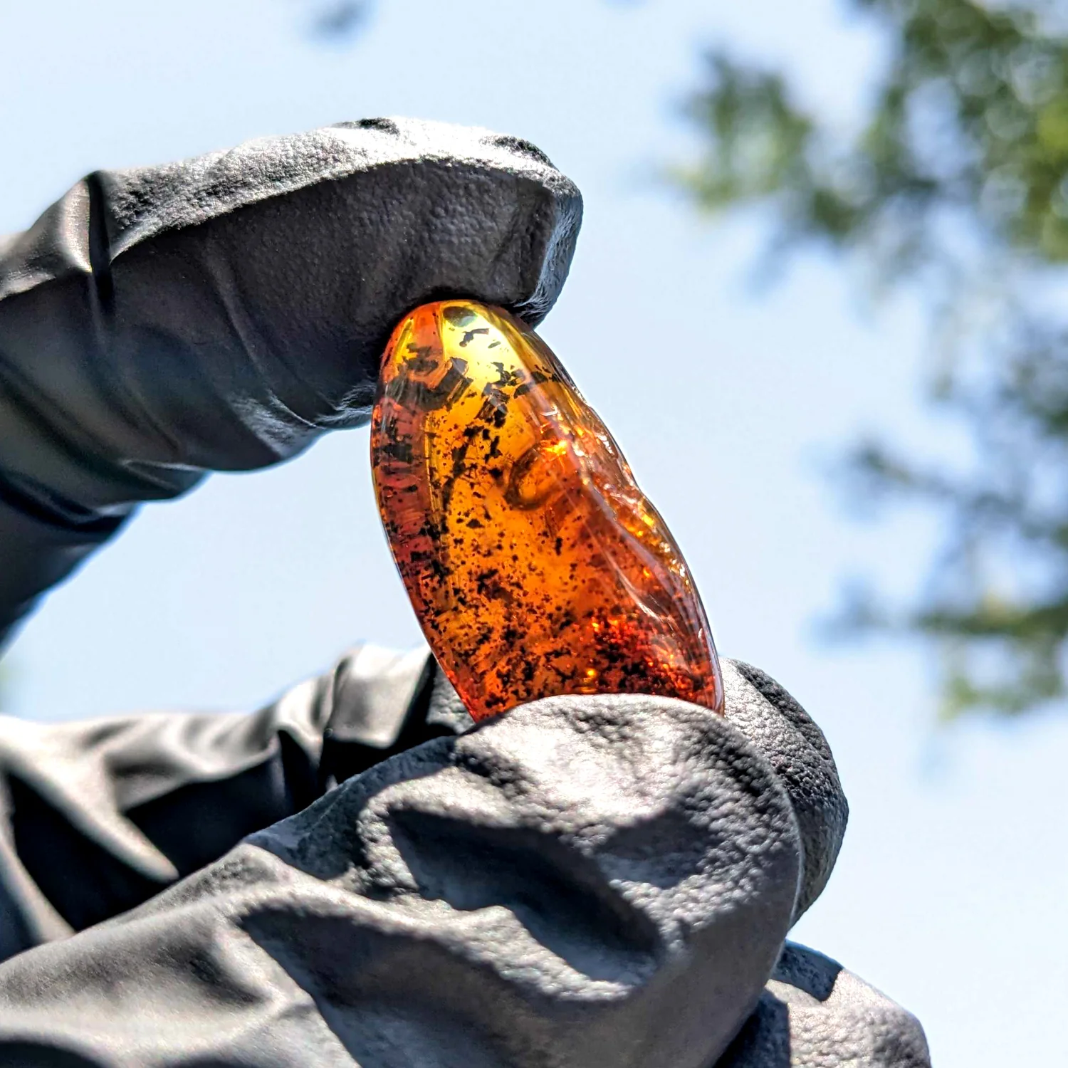 Baltic Amber - Image 2