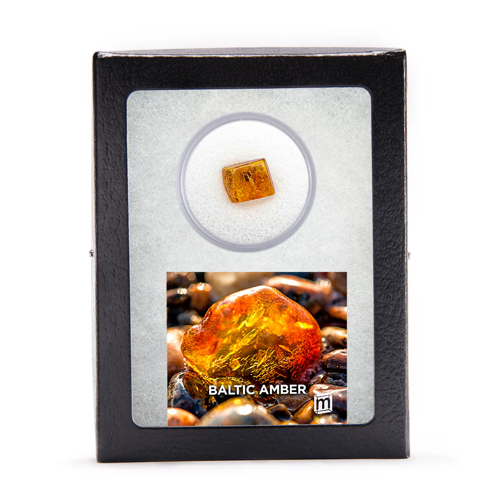 Baltic Amber - Image 6