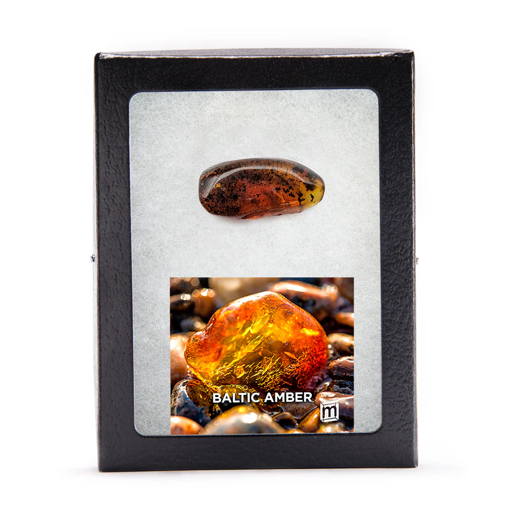 Baltic Amber - Image 7