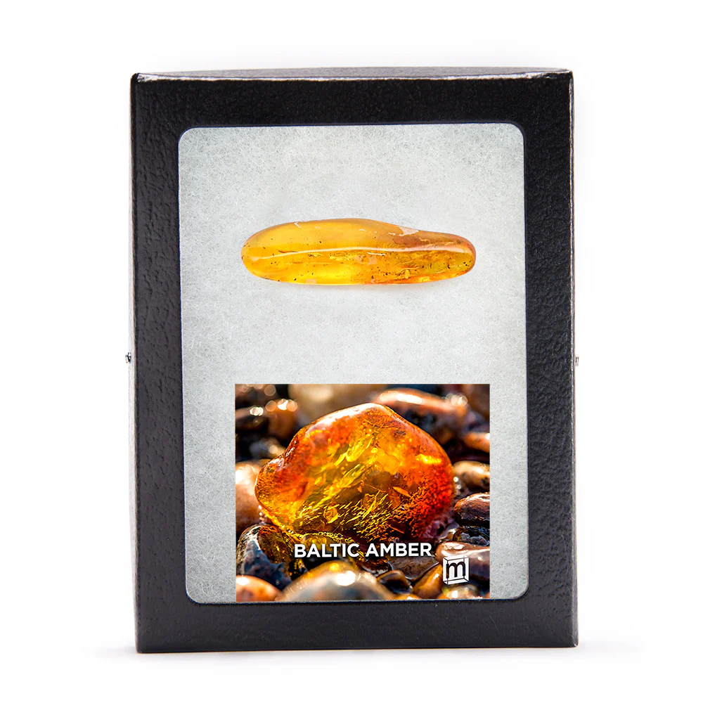 Baltic Amber - Image 8
