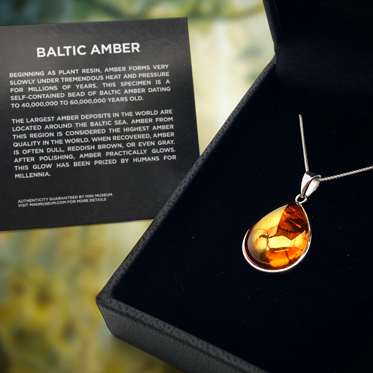 Baltic Amber Pendant Necklace - Image 9