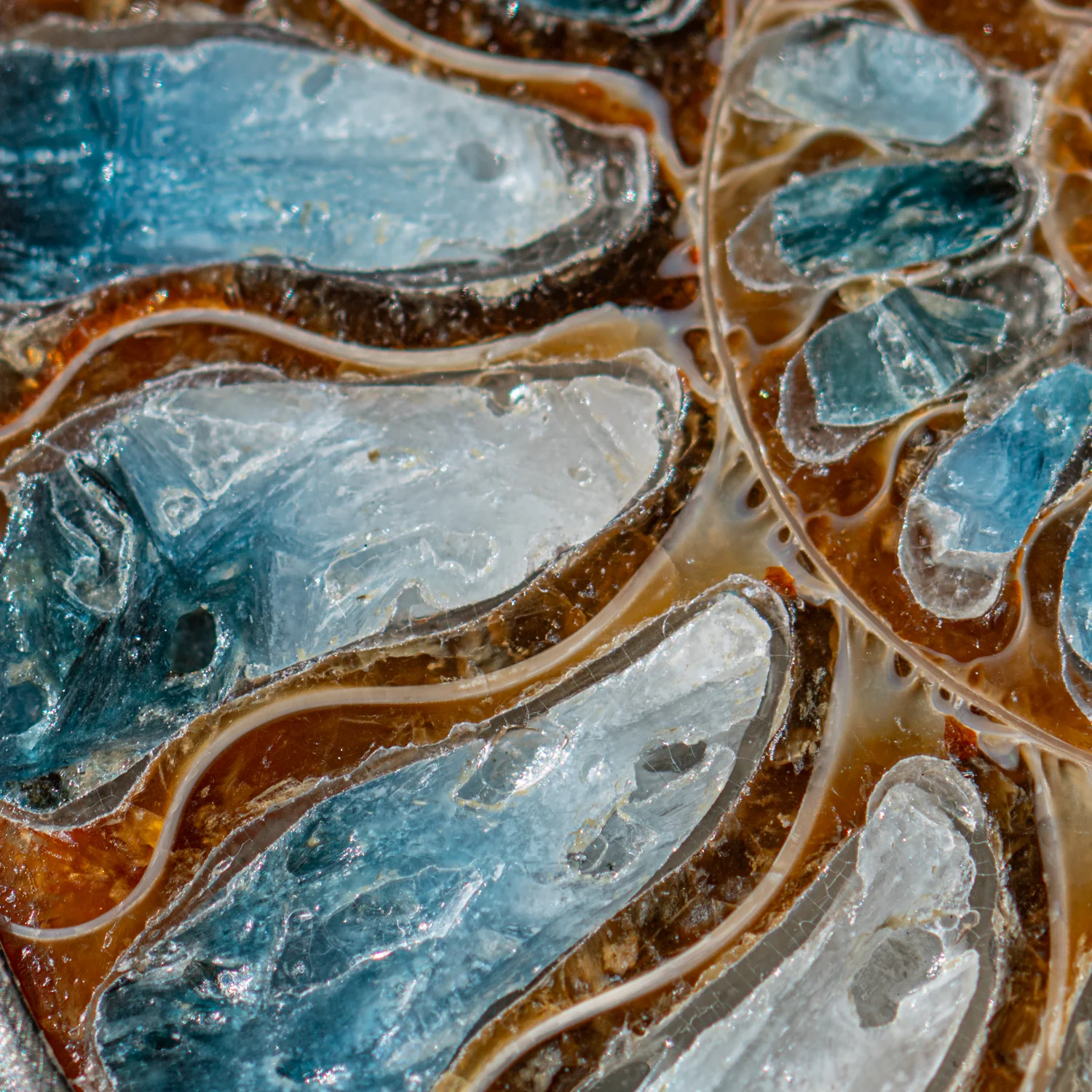 Blue Ice Ammonite Necklace - Image 8