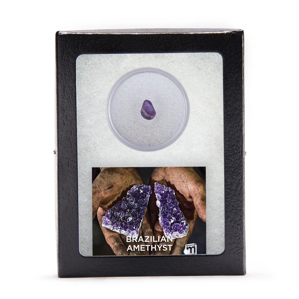Amethyst Classic Riker Box Specimen - Brazilian - Image 3