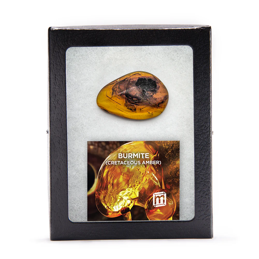 Burmite Cretaceous Amber - Image 10