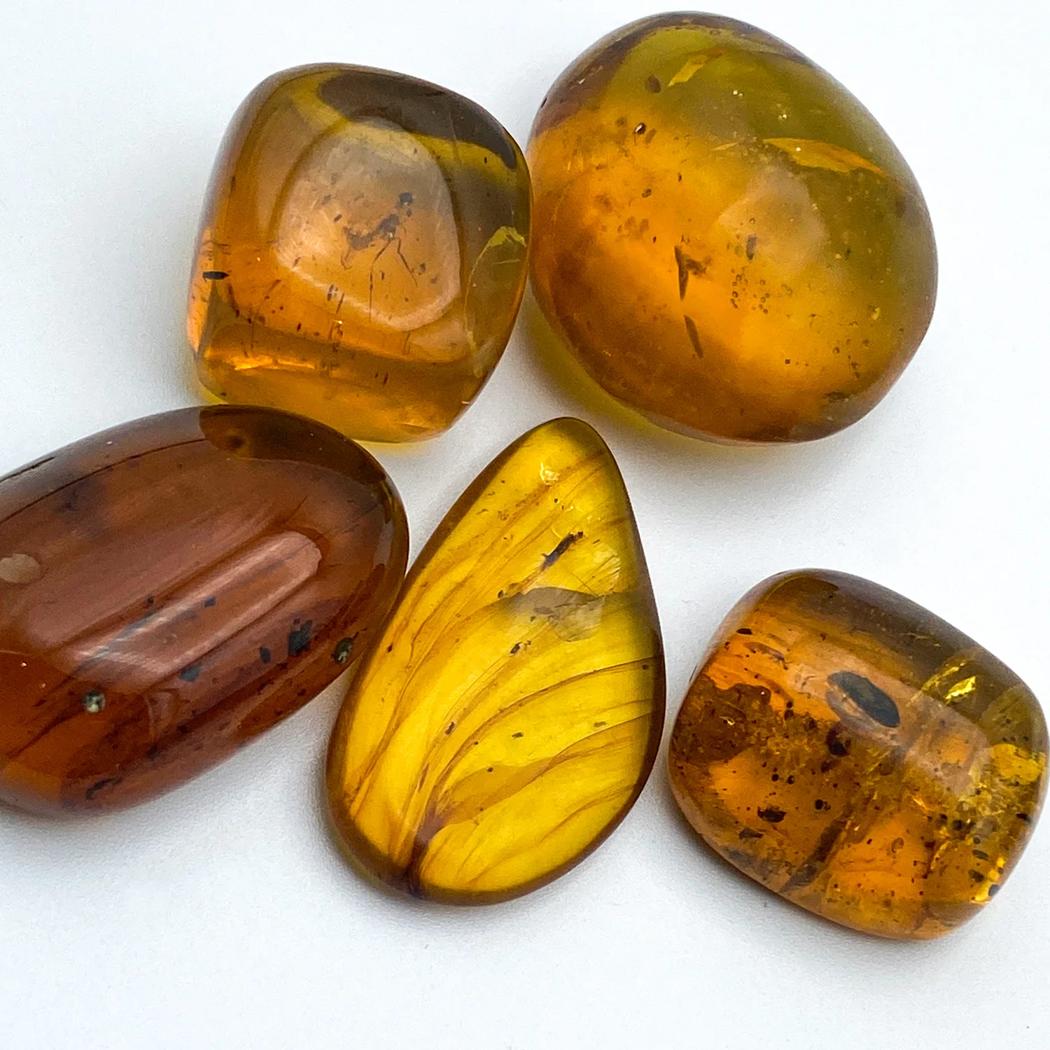 Burmite Cretaceous Amber - Image 5