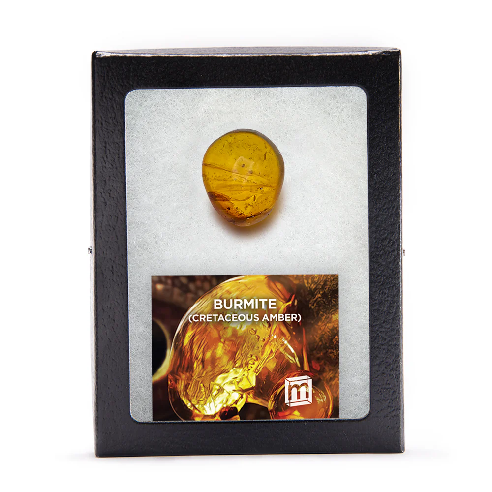 Burmite Cretaceous Amber - Image 6