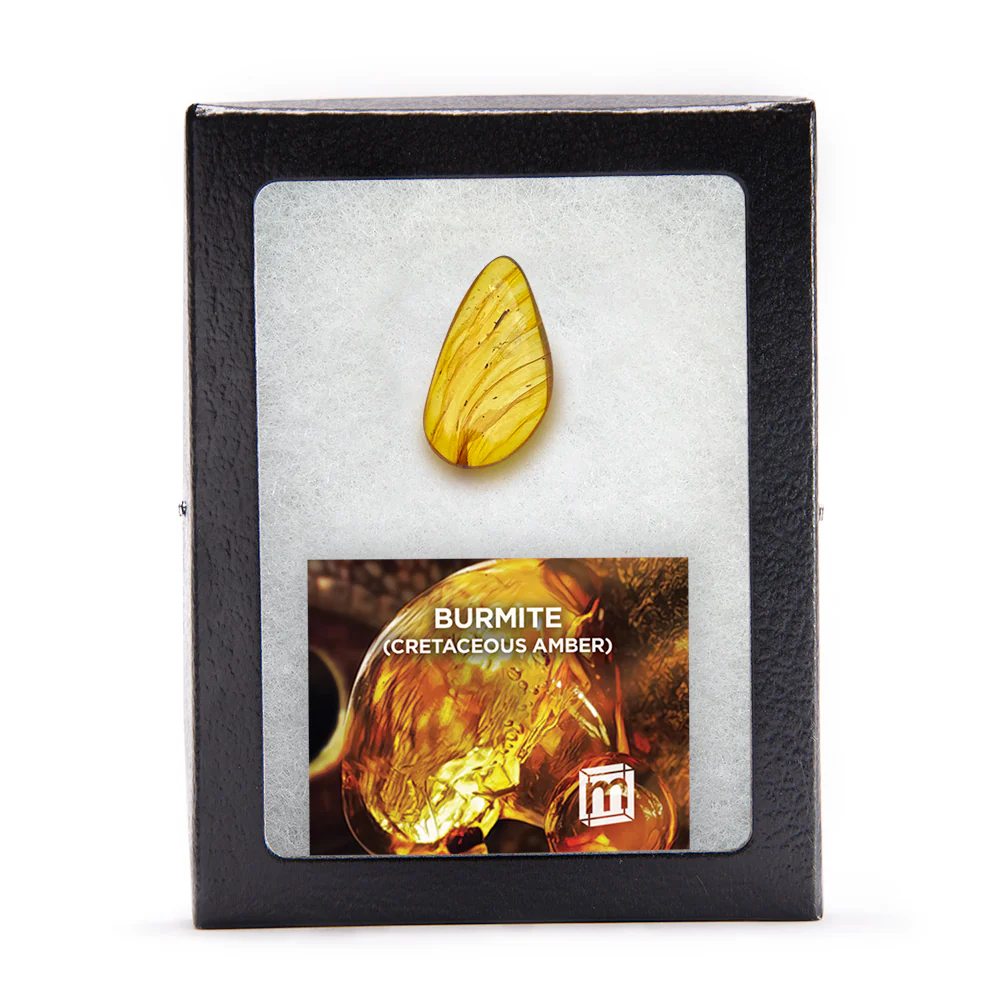 Burmite Cretaceous Amber - Image 8