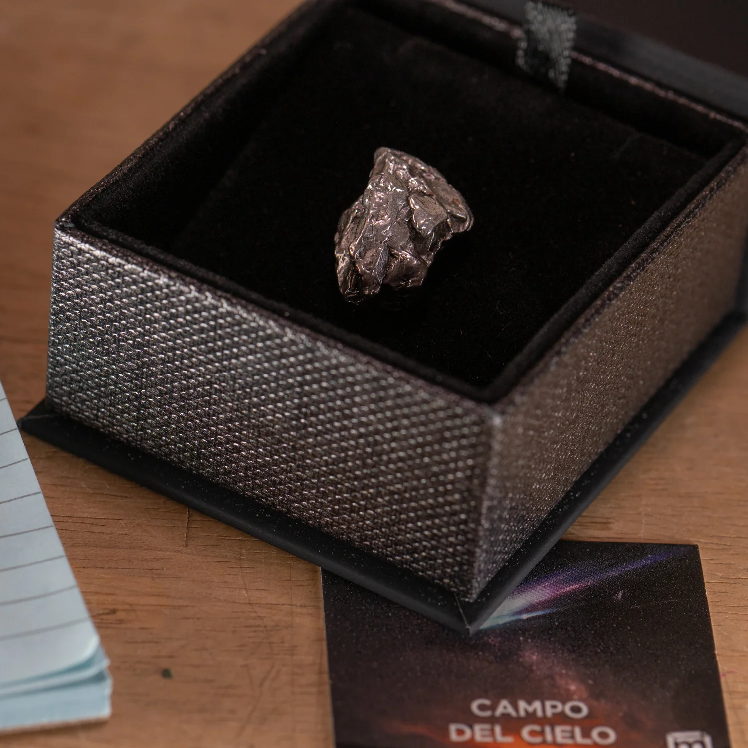 Campo del Cielo - Handheld Meteorite - Image 8