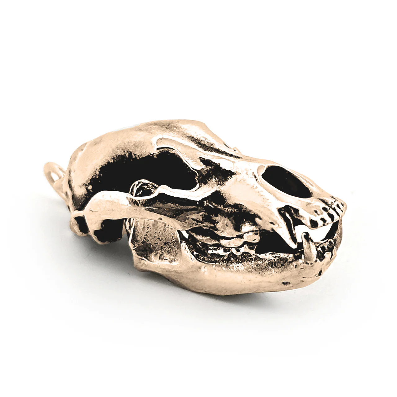 Cave Bear Skull Pendant - Image 2