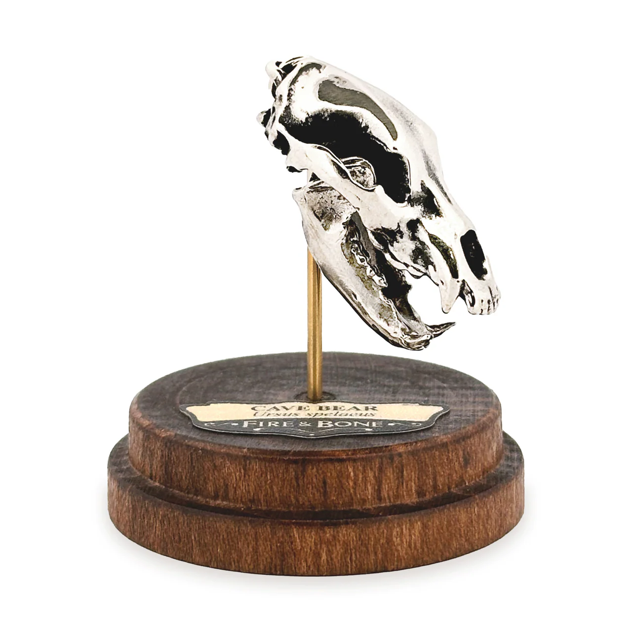 Cave Bear Skull Pendant - Image 4