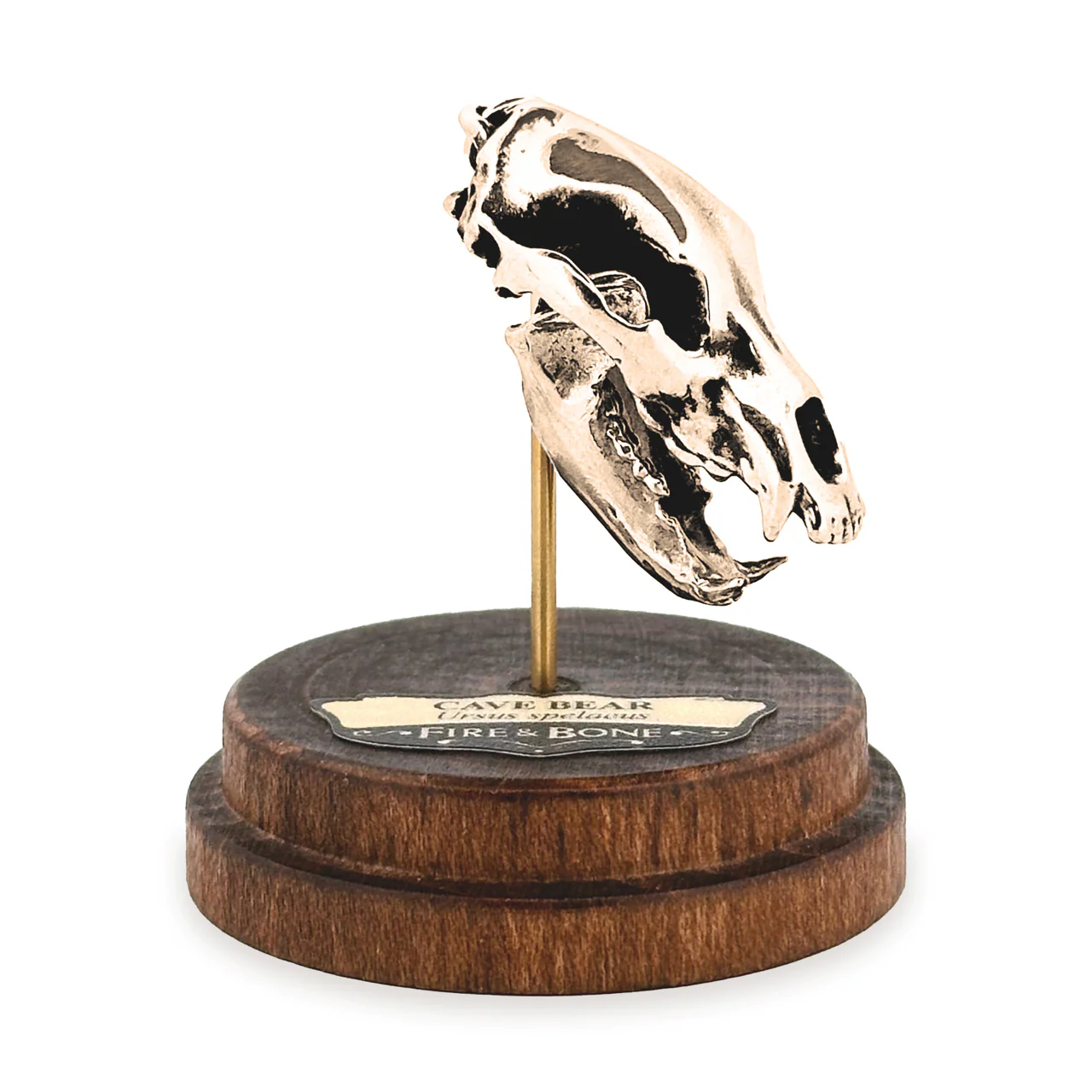 Cave Bear Skull Pendant - Image 5