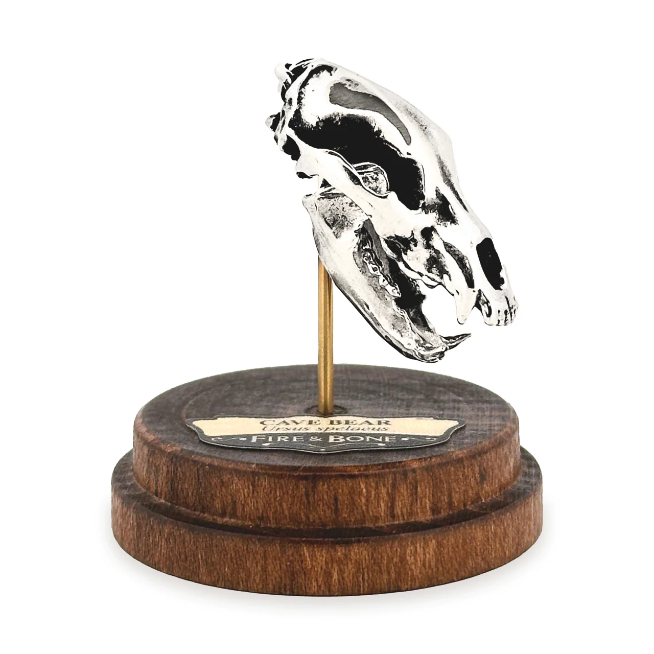 Cave Bear Skull Pendant - Image 6
