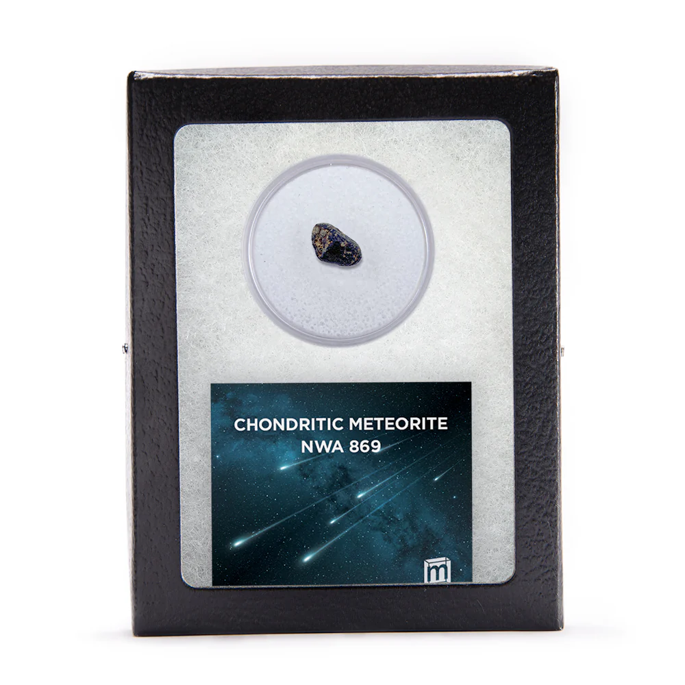Chondritic Meteorite NWA 869 - Image 2