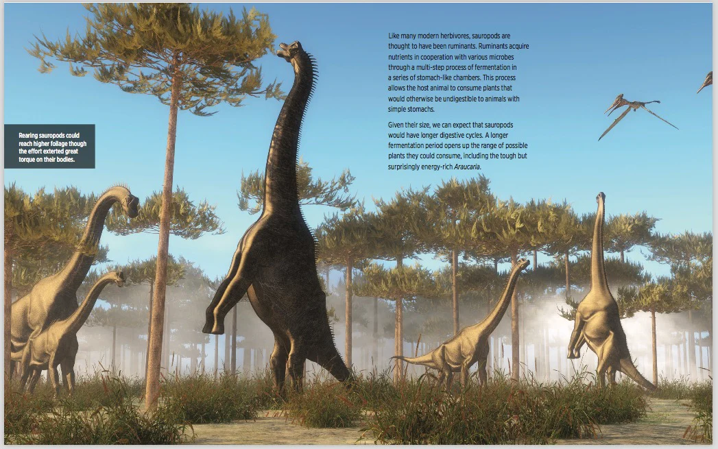 Companion Guide - Third Edition - Image 5