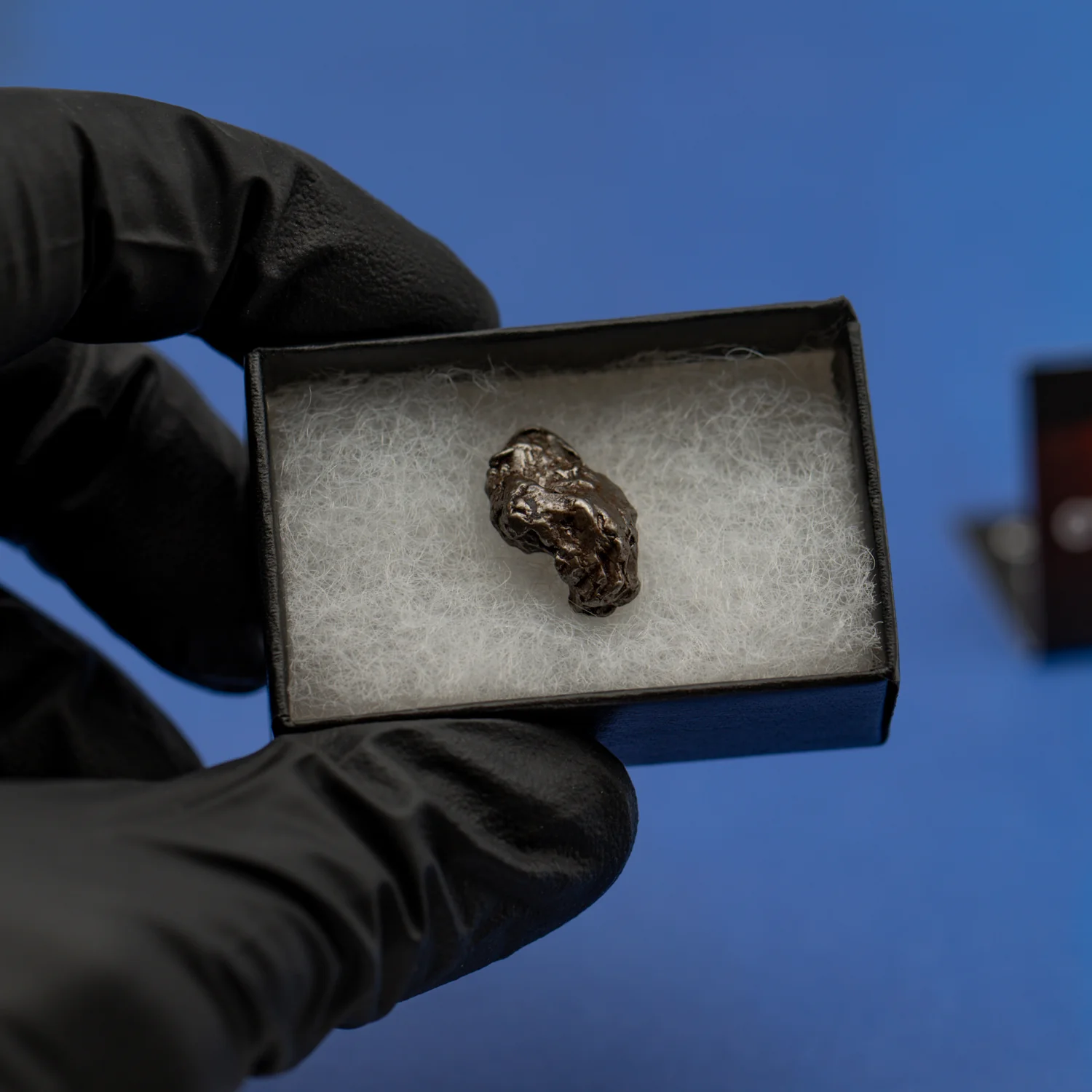 Cosmic Campo del Cielo Mini Meteorite - Image 6