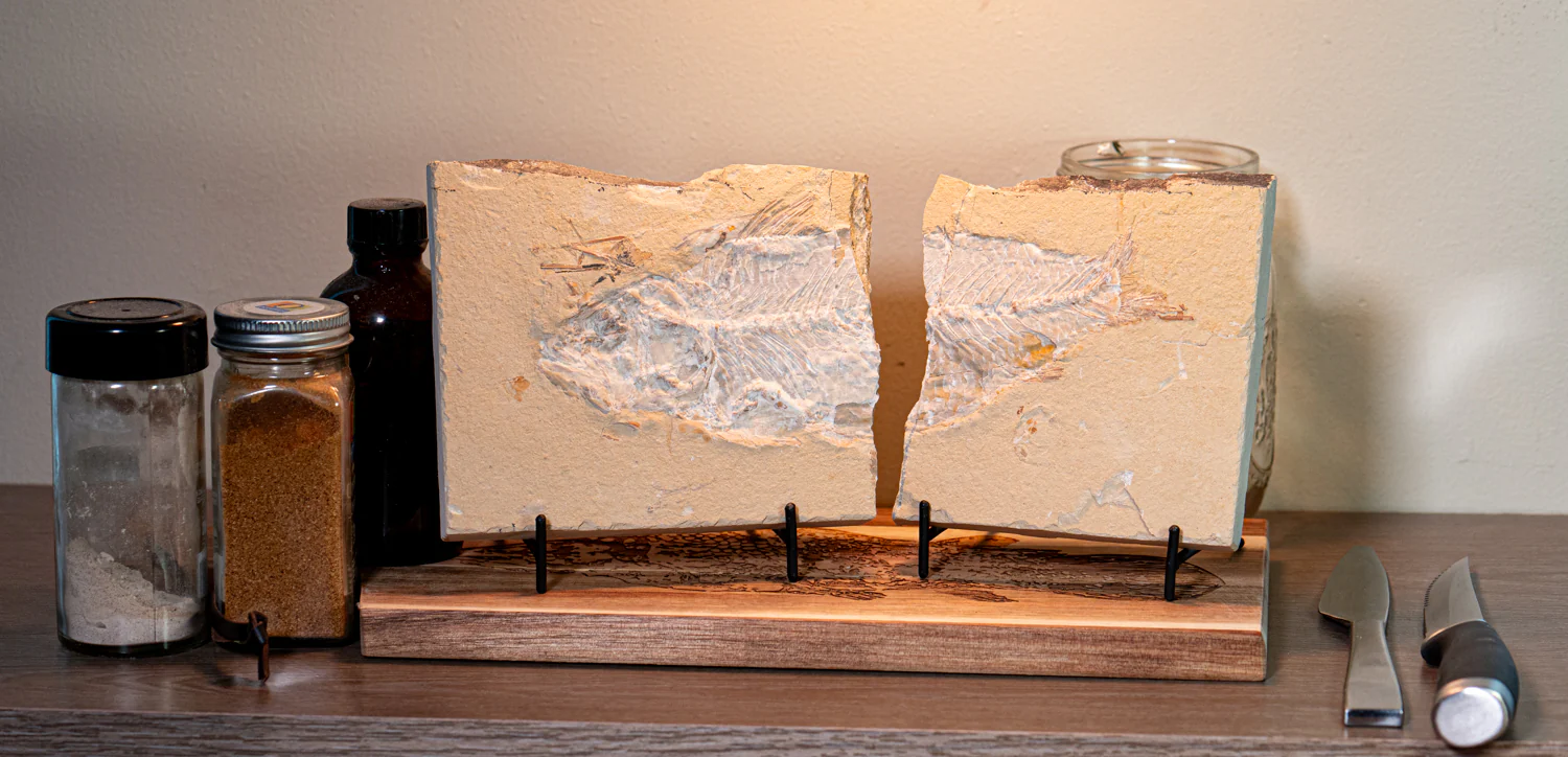 SOLD Cretaceous Era Fossil - Nematonotus 9.50" - Sannine Formation - Image 4
