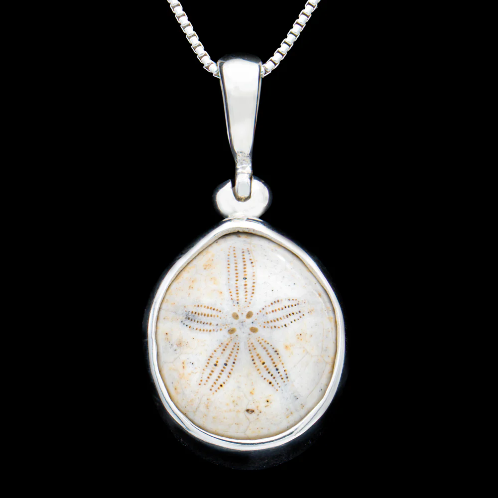 Cretaceous Sea Urchin Pendant Necklace - Image 2