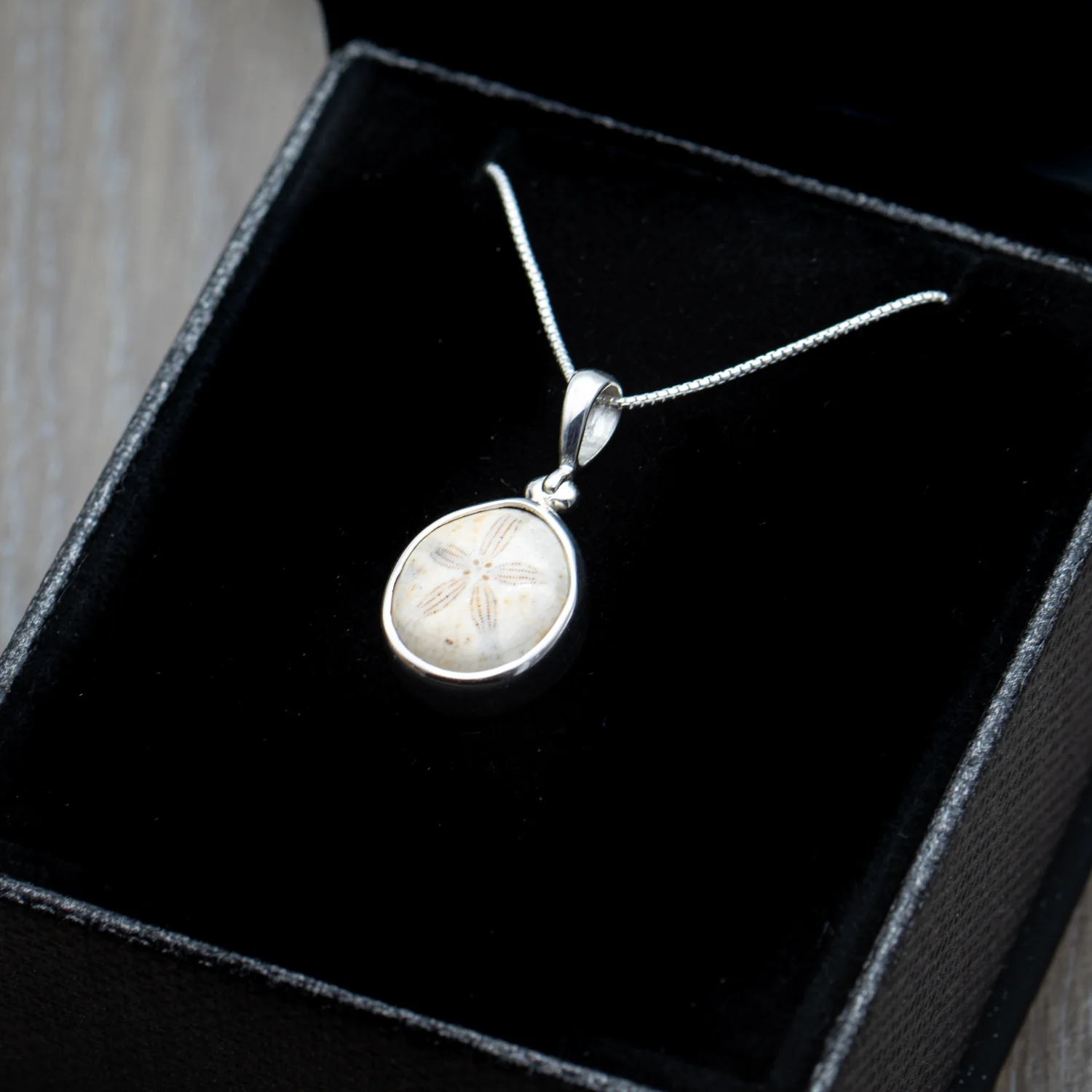 Cretaceous Sea Urchin Pendant Necklace - Image 4