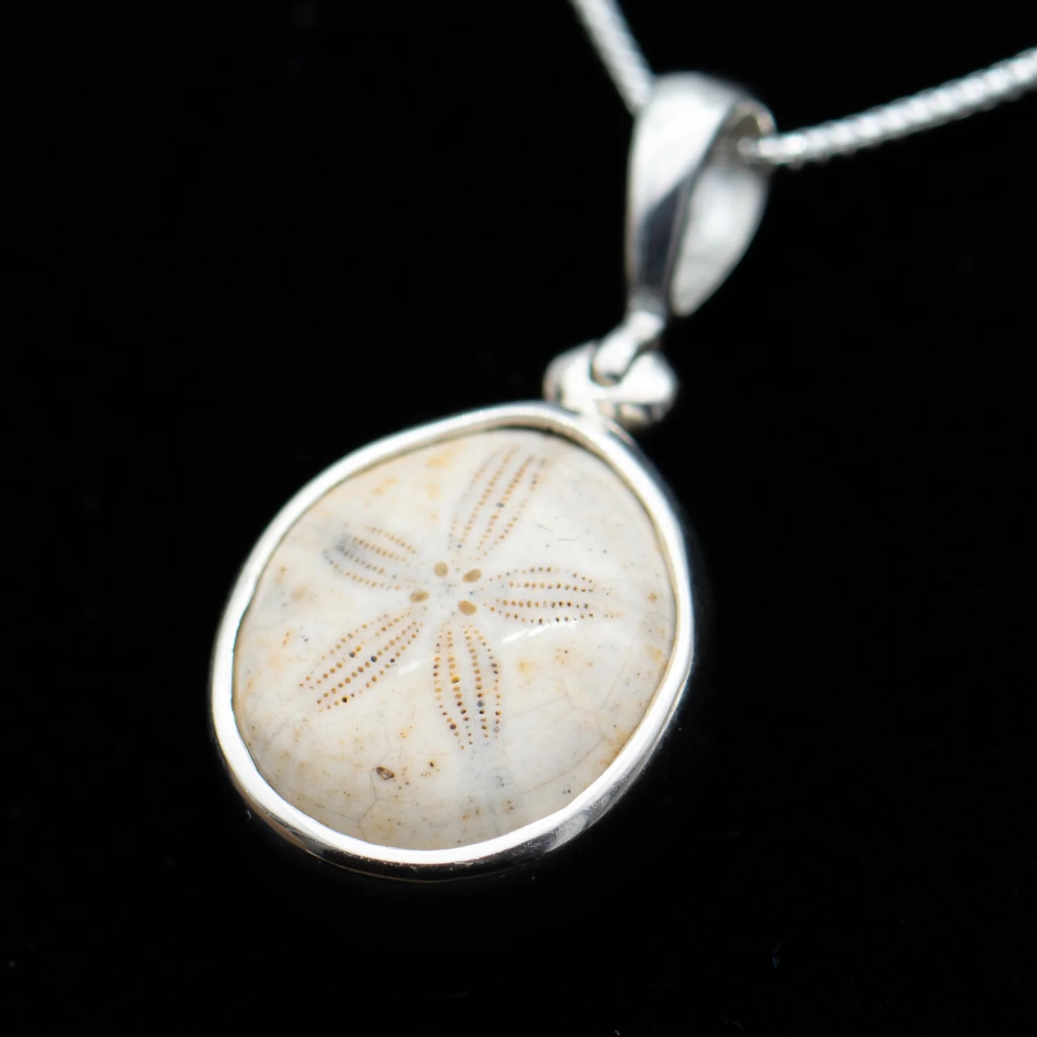 Cretaceous Sea Urchin Pendant Necklace - Image 5