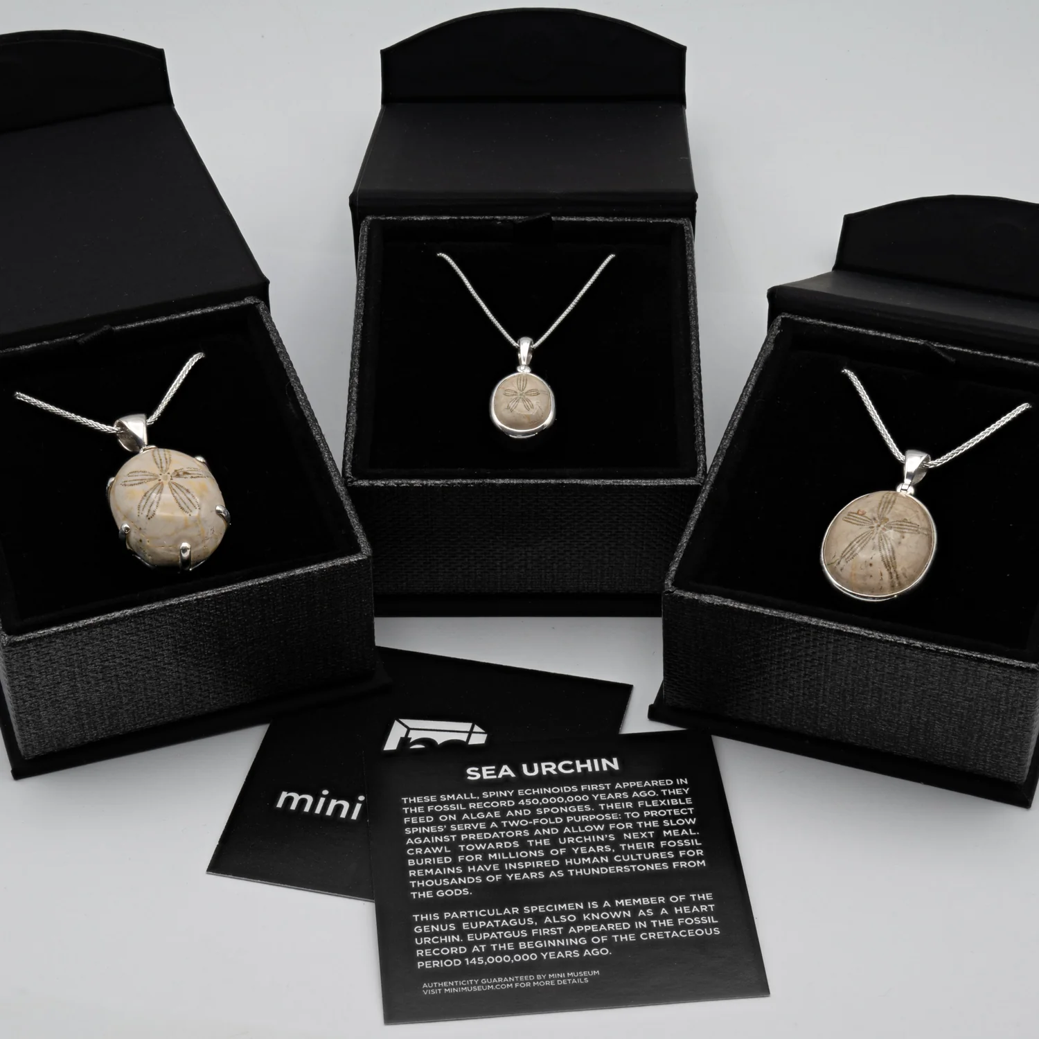 Cretaceous Sea Urchin Pendant Necklace - Image 6