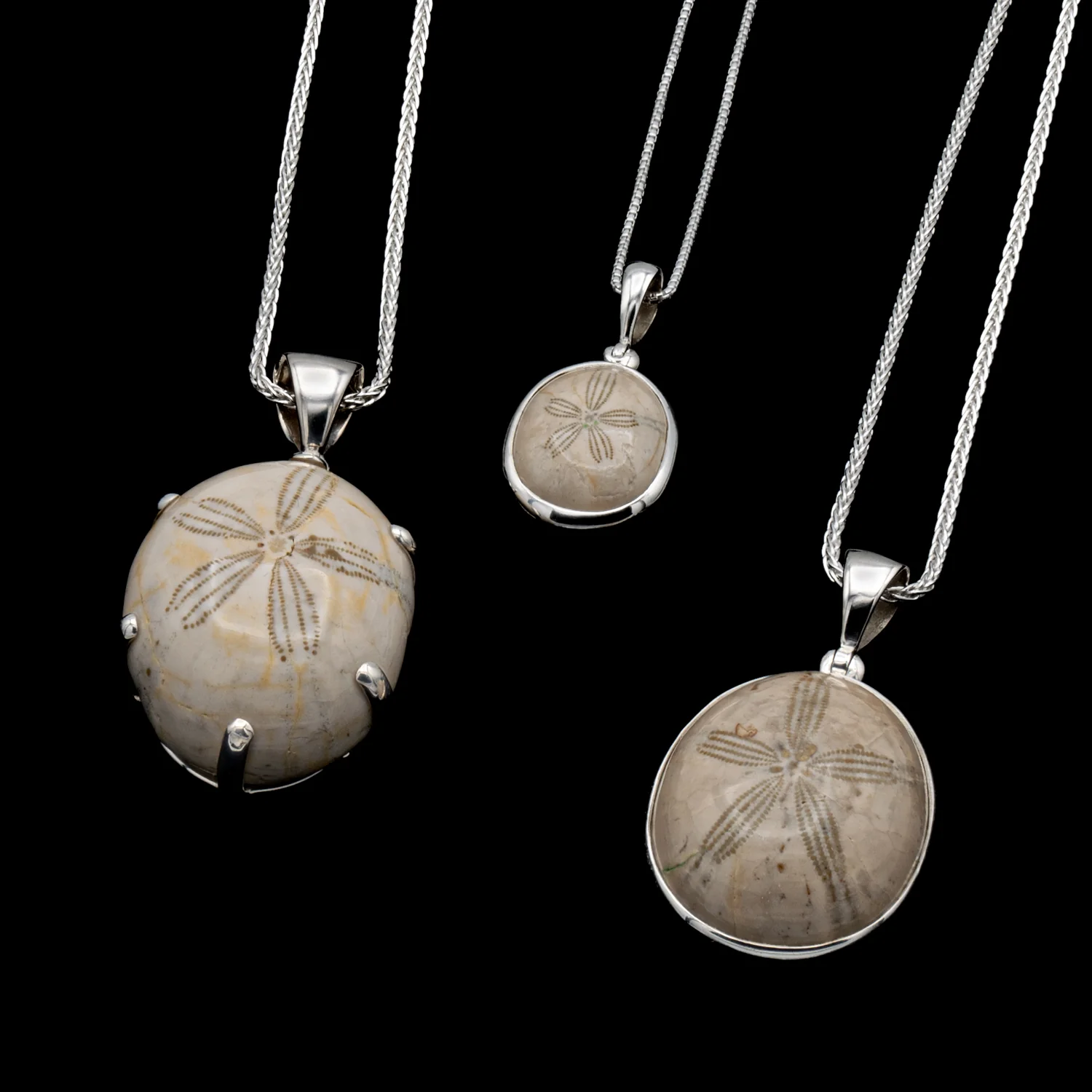 Cretaceous Sea Urchin Pendant Necklace - Image 7