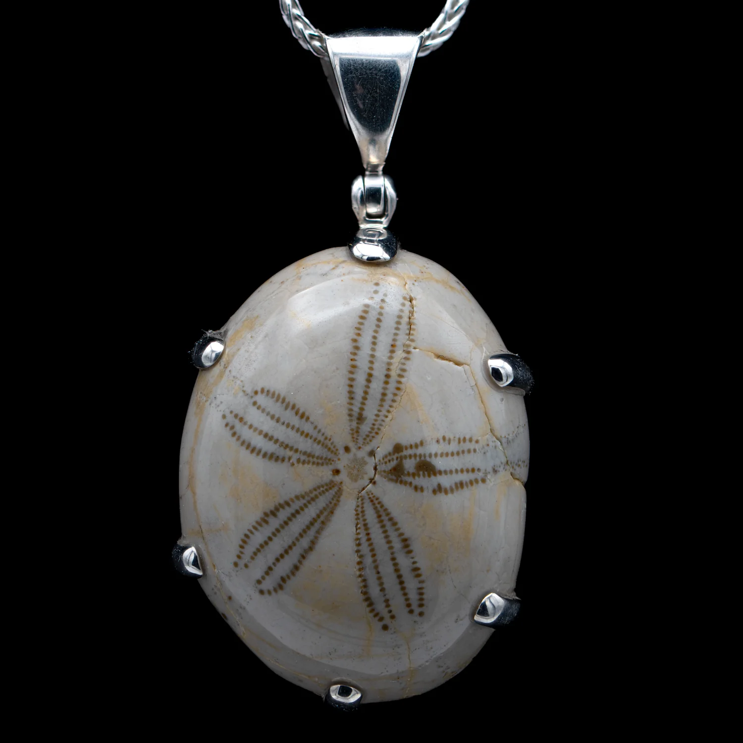 Cretaceous Sea Urchin Pendant Necklace - Image 8