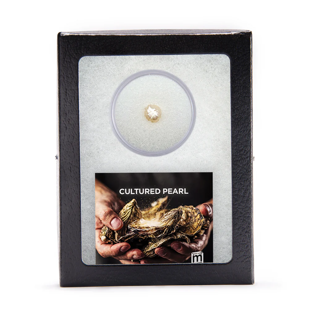 Cultured Pearl - Image 3