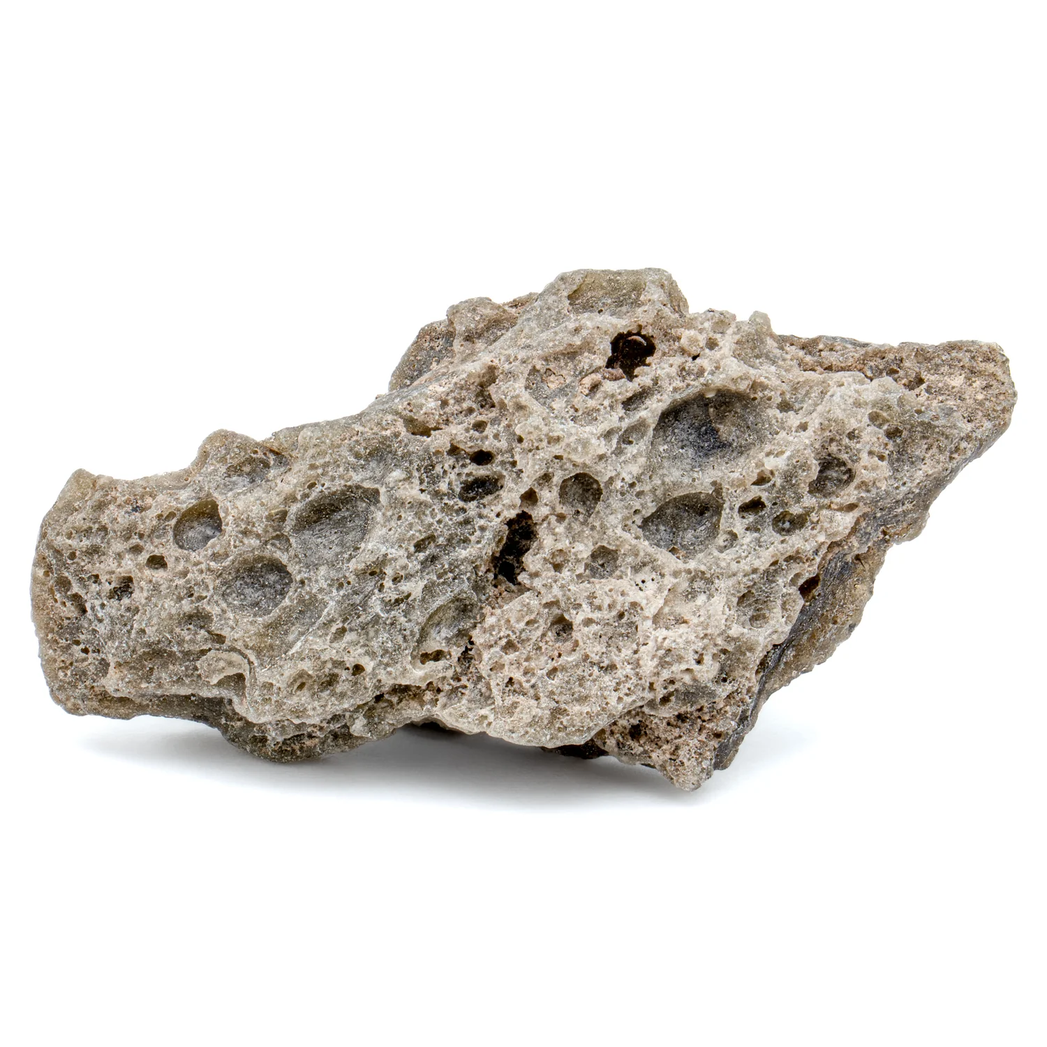 Darwin Glass - Image 11