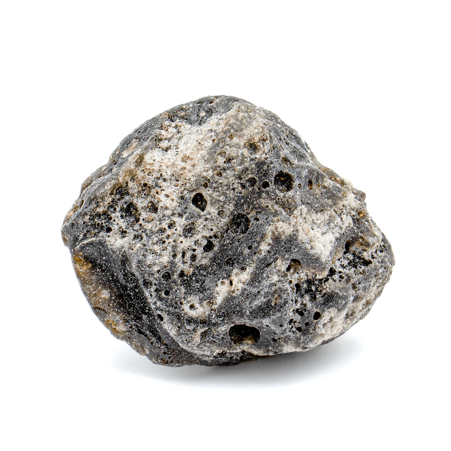 Darwin Glass - Image 5