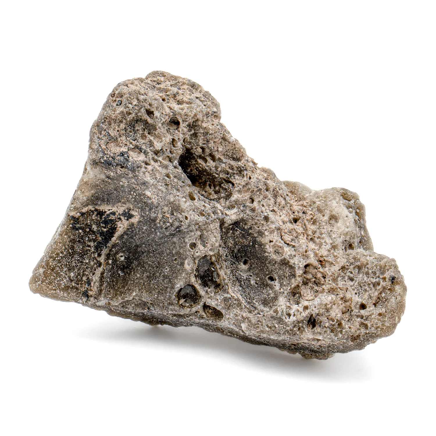 Darwin Glass - Image 6