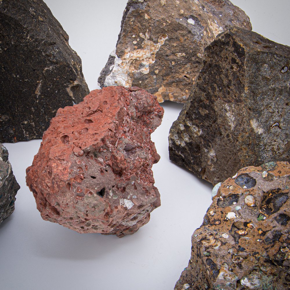 Death of the Dinosaurs - K-Pg Boundary and Deccan Traps - Image 6