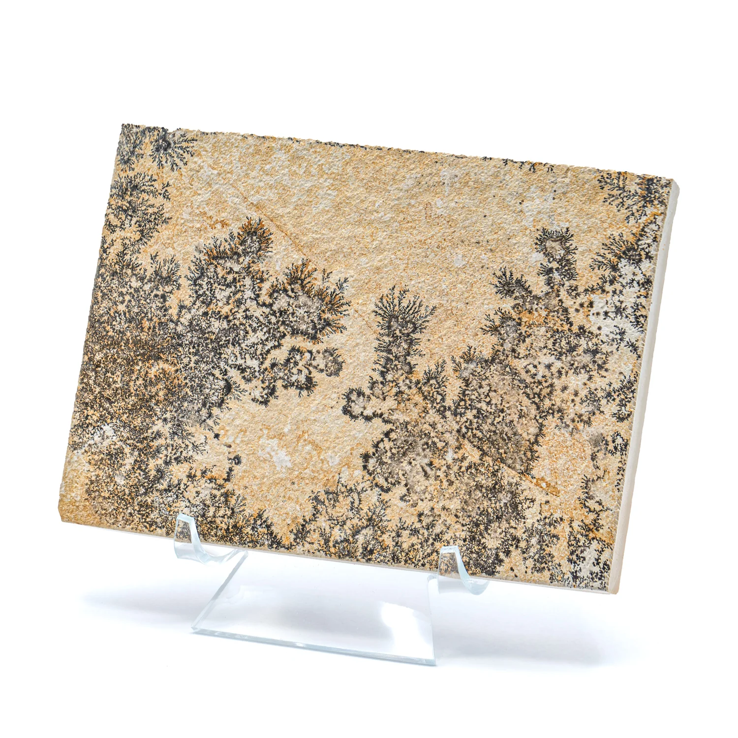 Dendrite Crystal Portraits - Image 4