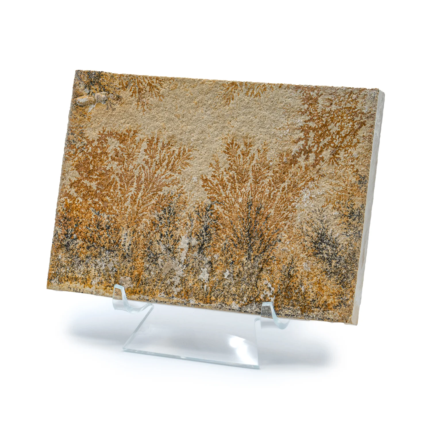 Dendrite Crystal Portraits - Image 5