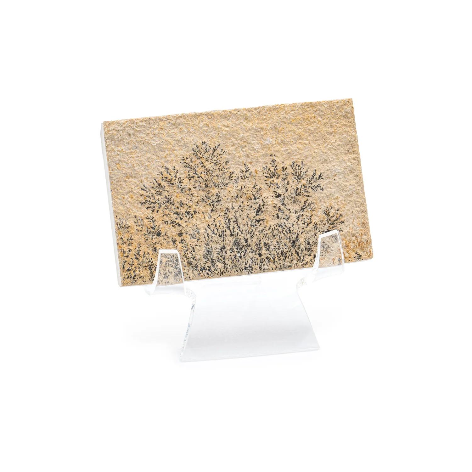 Dendrite Crystal Portraits - Image 8