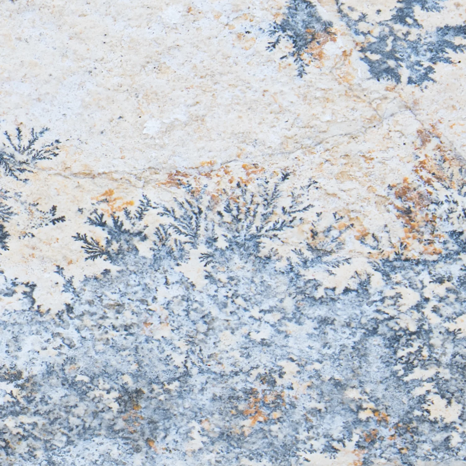 Dendrite Crystal Portraits - Image 9