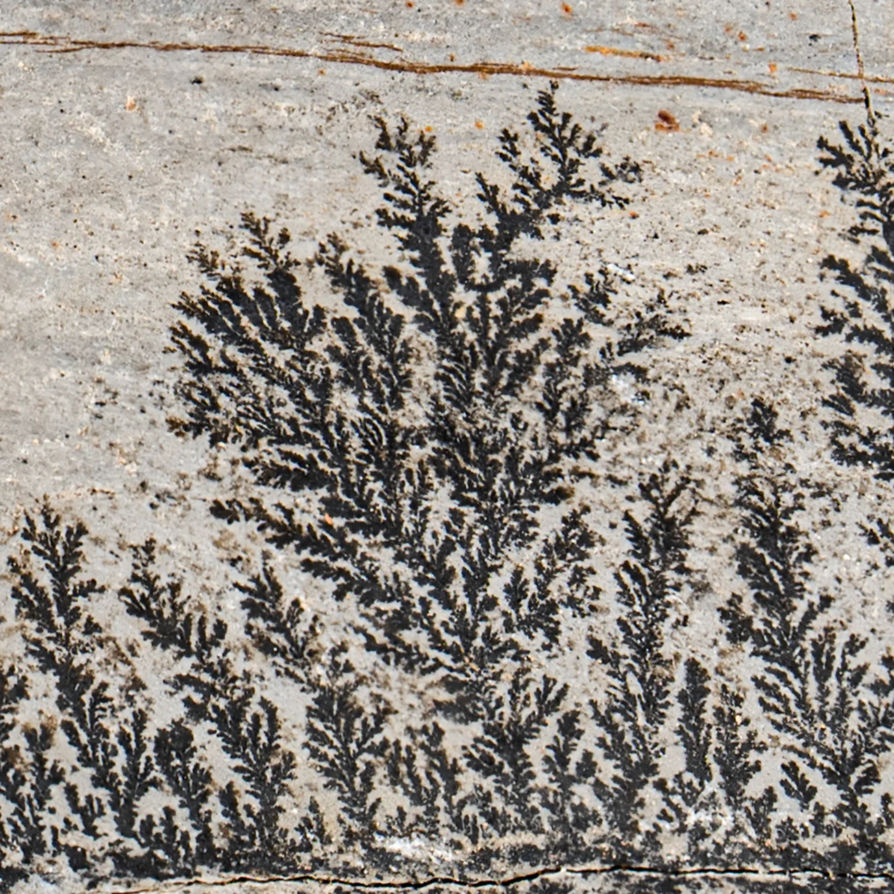 Dendrite Crystal Sandstone - SOLD 2.97" - Image 2